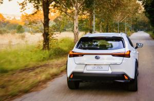Lexus UX250h 2019 года  (ZA)